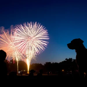 Fireworks display in Houston with pets and wildlife concerned in the foreground