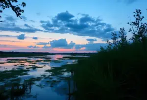 Serene view of a bayou in Houston during twilight