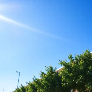 Sunny day in Houston with heat waves