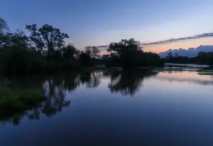 An unsettling view of a Houston bayou at dusk, highlighting the area where bodies were found.