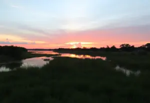 A tranquil bayou scene in Houston at sunset
