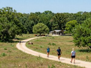 Hikers enjoying the trails in Texas state parks during the First Day Hikes program.