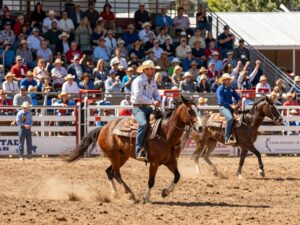 Texas rodeo event with competitors and audience