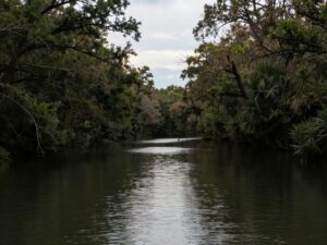 Brays Bayou in Houston, Texas depicting serene waterway surrounded by trees