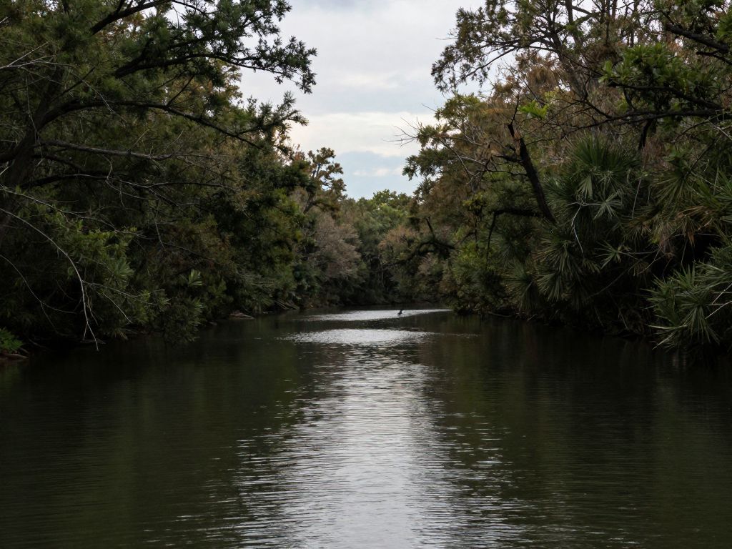 Brays Bayou in Houston, Texas depicting serene waterway surrounded by trees