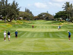University of Texas men's golf team competing at Amer Ari Invitational in Hawaii.